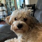 Eleanor