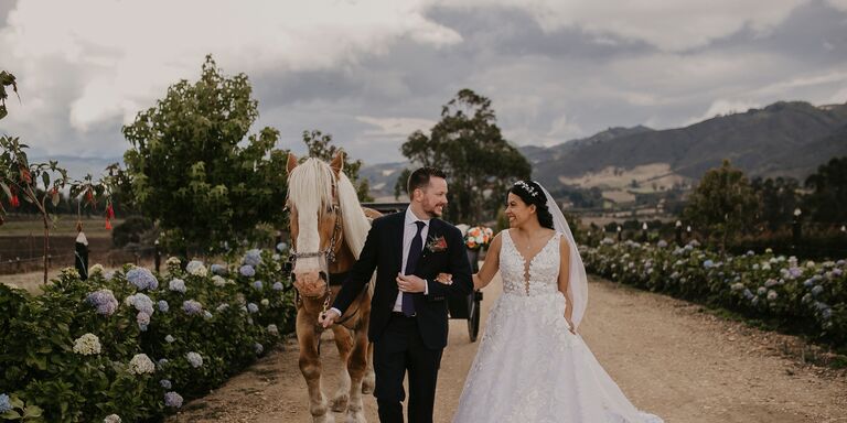 Michael & Tatiana Home Page Banner