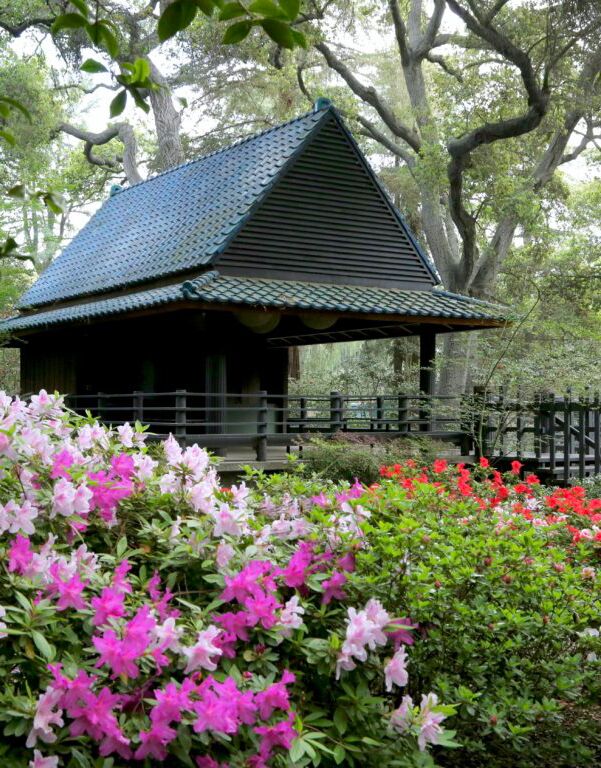 Picture of Descanso Gardens