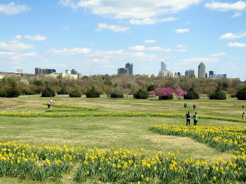 Picture of Dorothea Dix Park