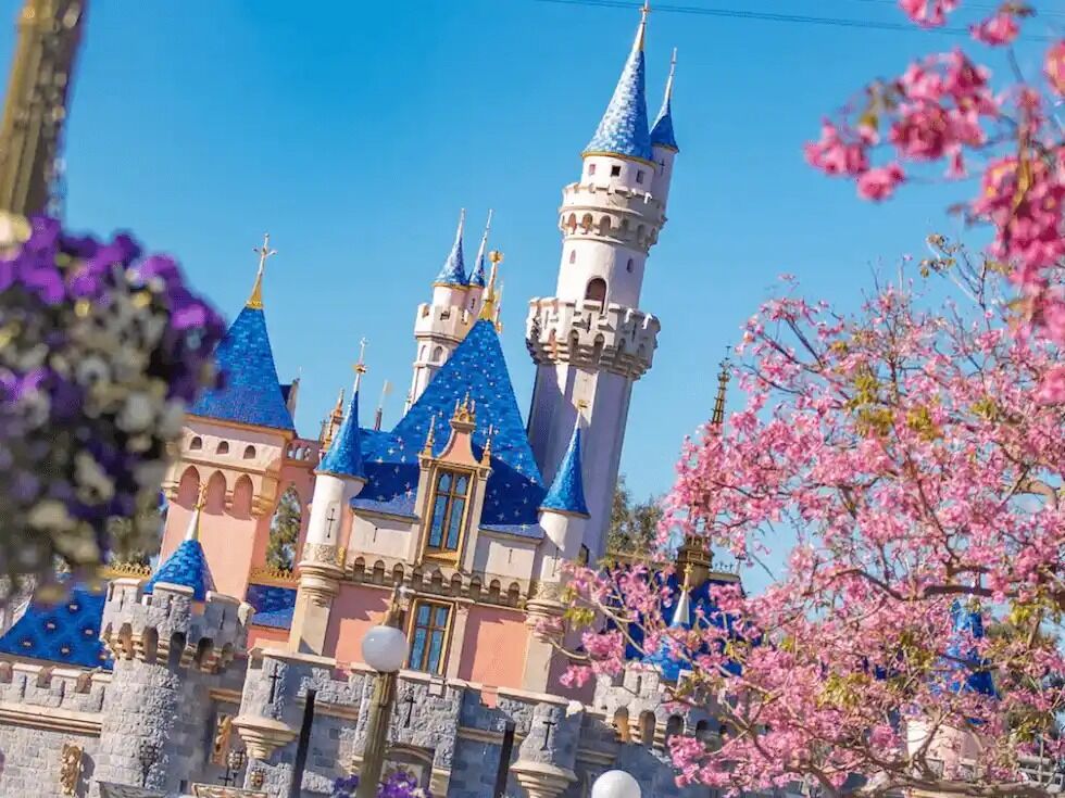 Picture of Disneyland Park