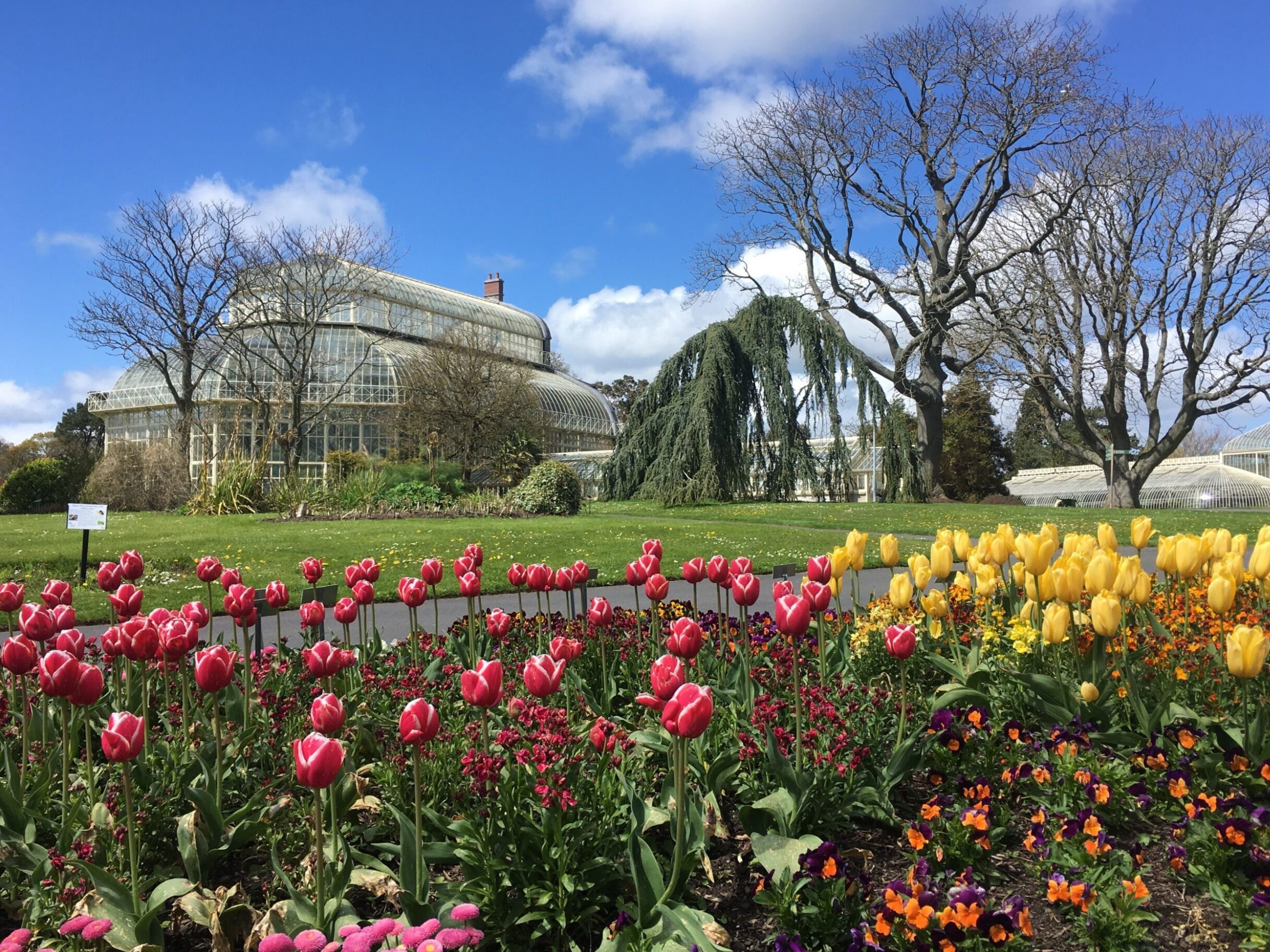 Picture of National Botanic Gardens