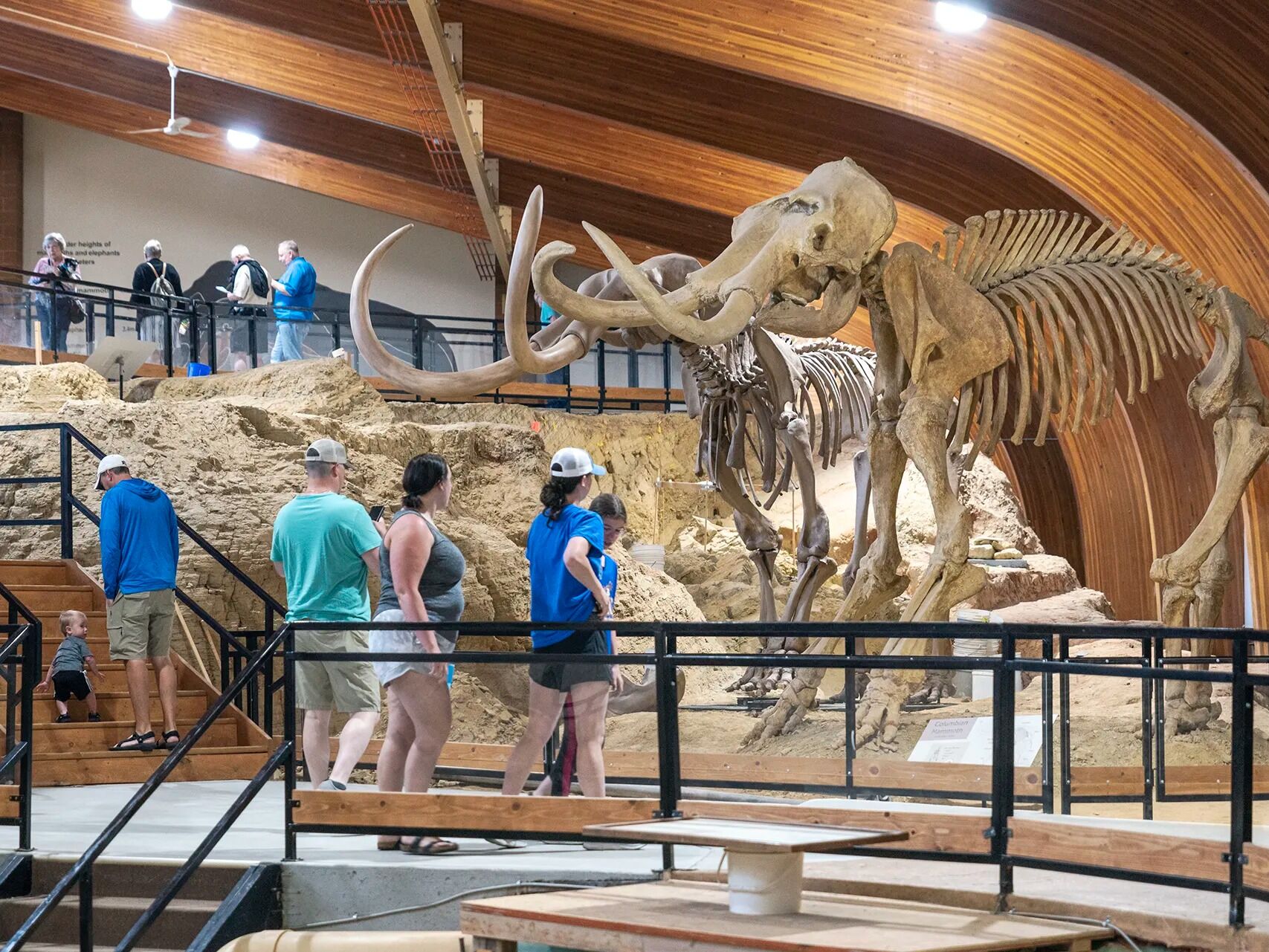 Picture of The Mammoth Site