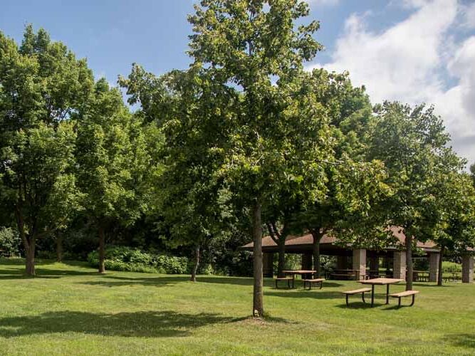 Picture of Clifton E. French Regional Park