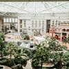Lush Greenery Filled Every Part of This Romantic Wedding at Gaylord Palms Resort in Orlando, Florida
