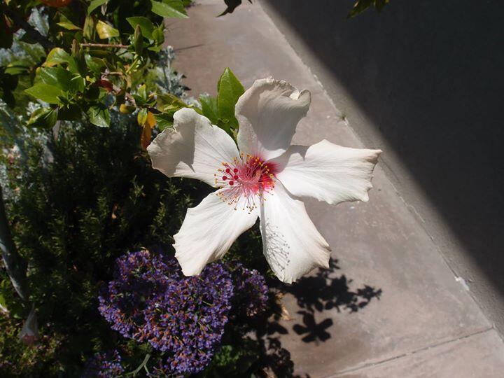 Album Photo 77
