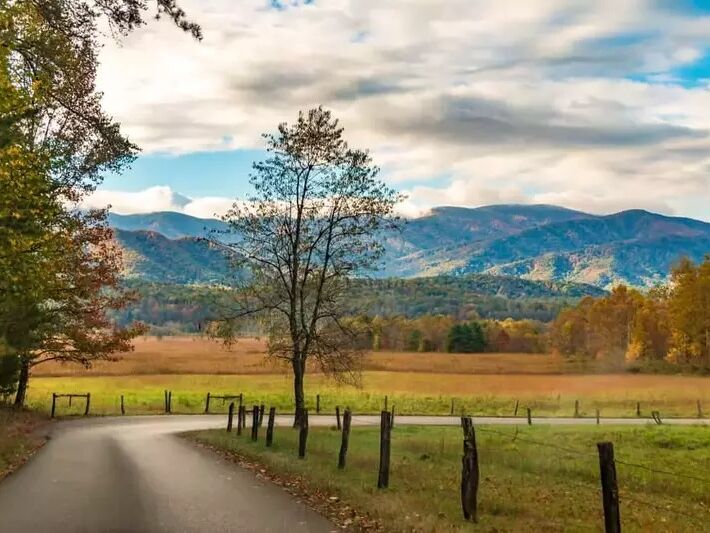 Picture of Cades Cove Scenic Loop