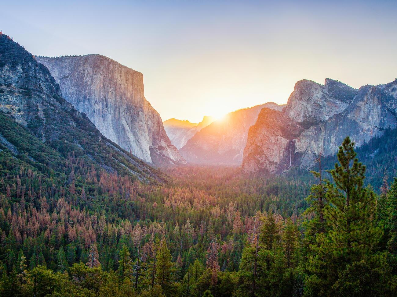 Picture of Yosemite National Park