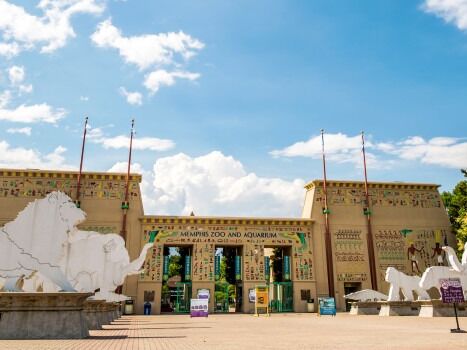 Picture of Memphis Zoo