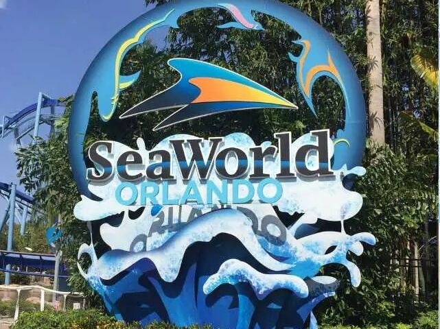 Picture of SeaWorld Orlando