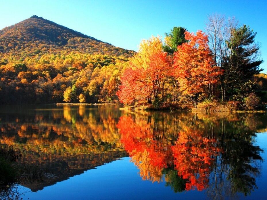 Picture of Smith Mountain Lake State Park