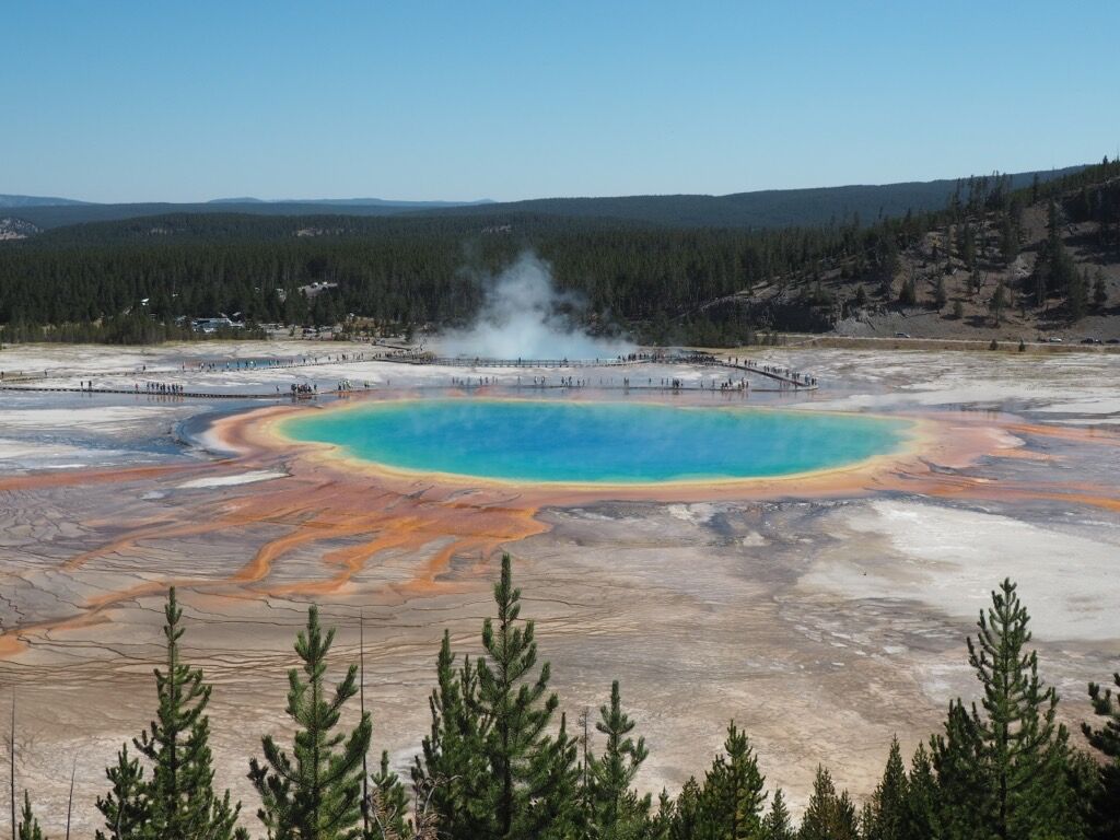 Picture of Yellowstone National Park
