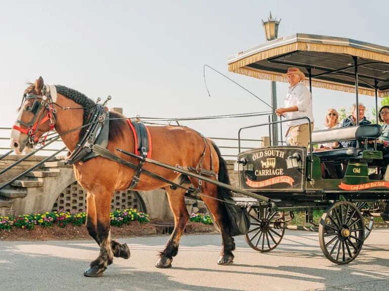 Picture of Old South Carriage Company