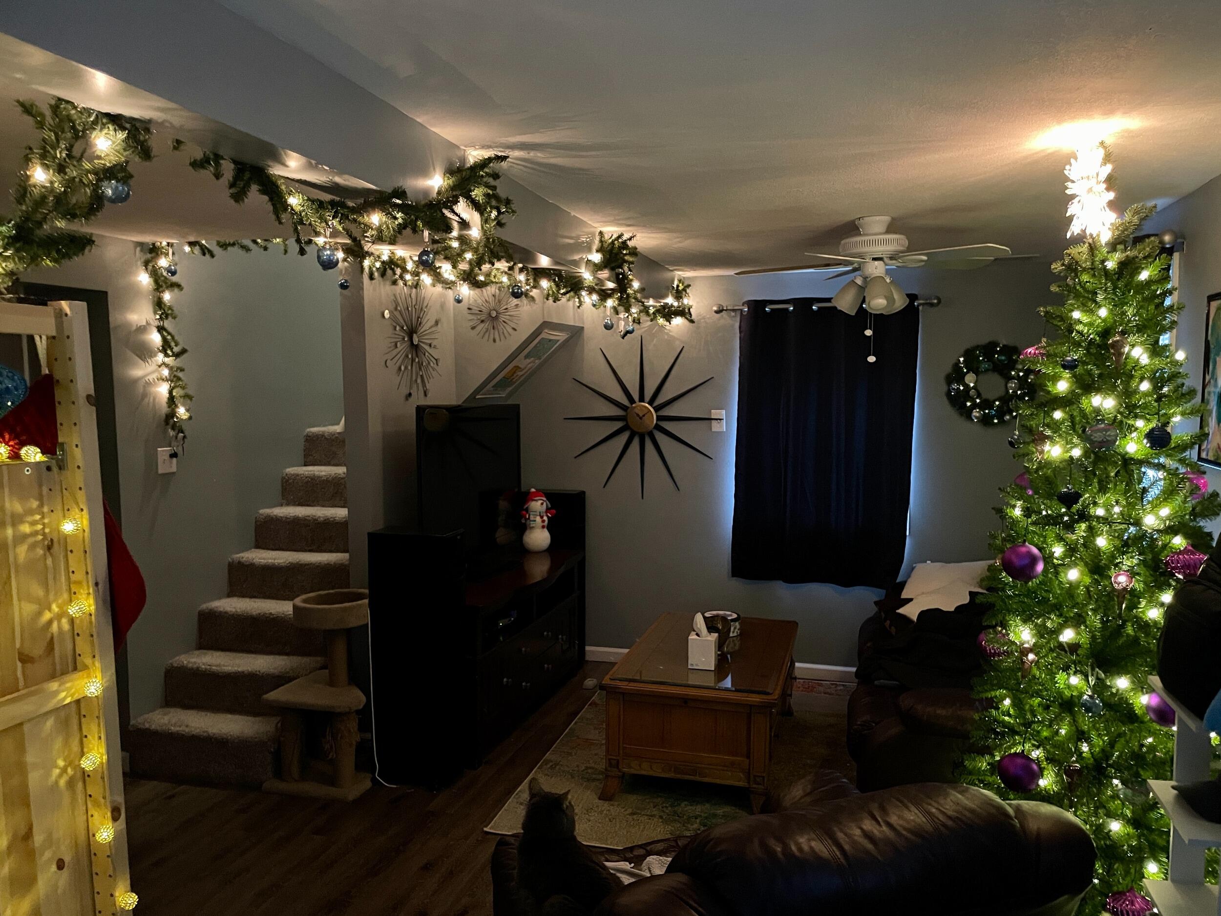 Decked out for Christmas