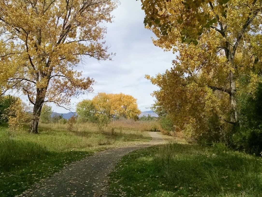 Picture of Fly'n B Park