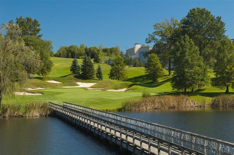 Picture of Doral Arrowwood