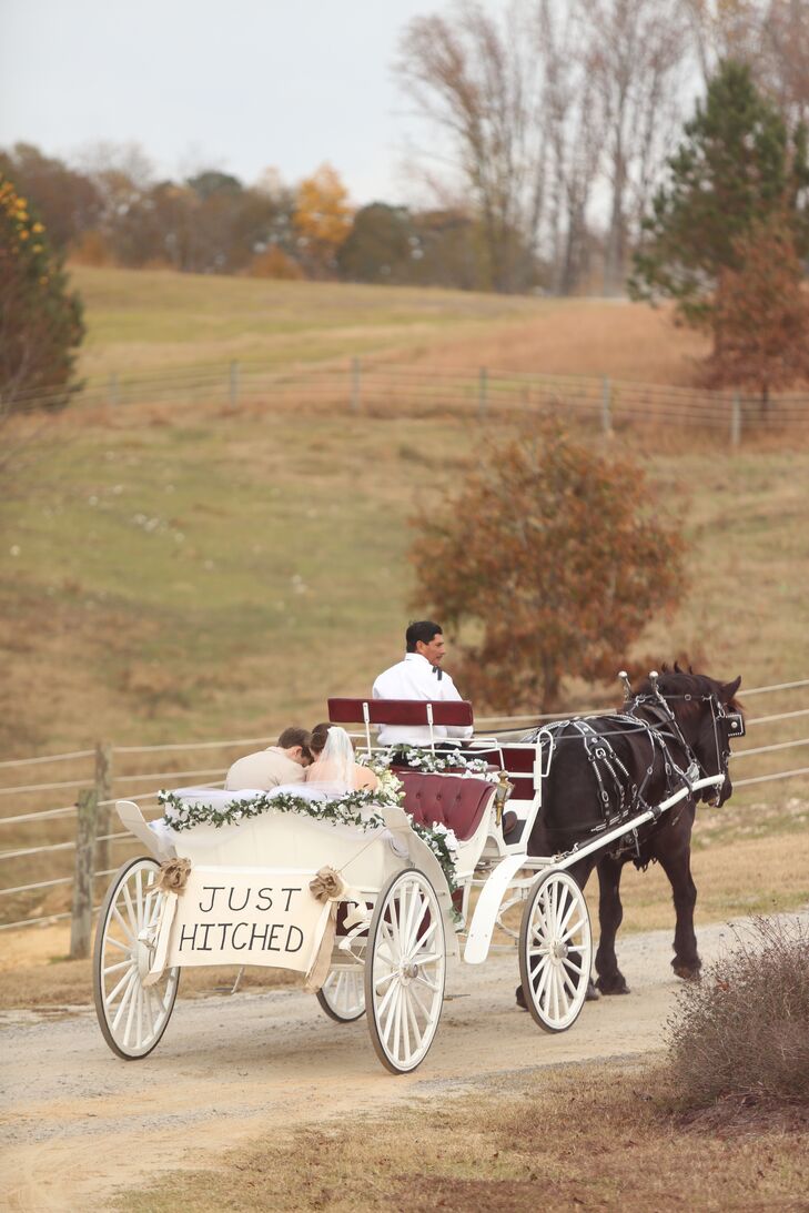 Horse-Drawn Carriage Wedding Transportation