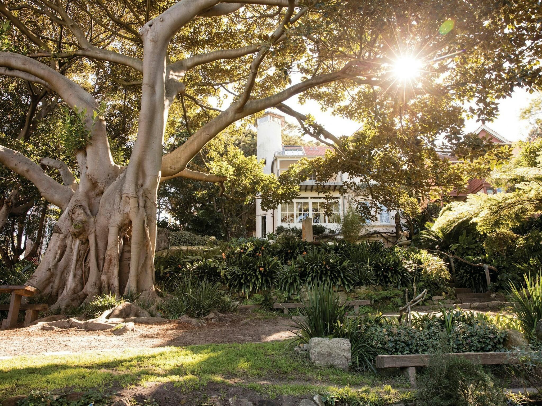 Picture of Wendy Whiteley's Secret Garden