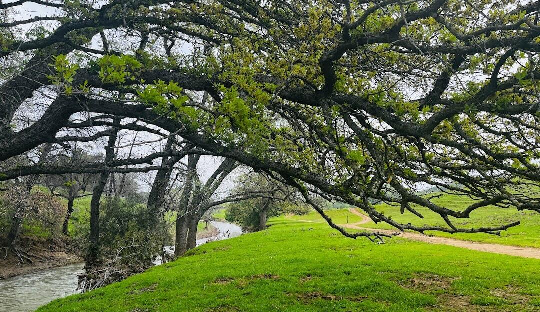 Picture of Round Valley Regional Preserve
