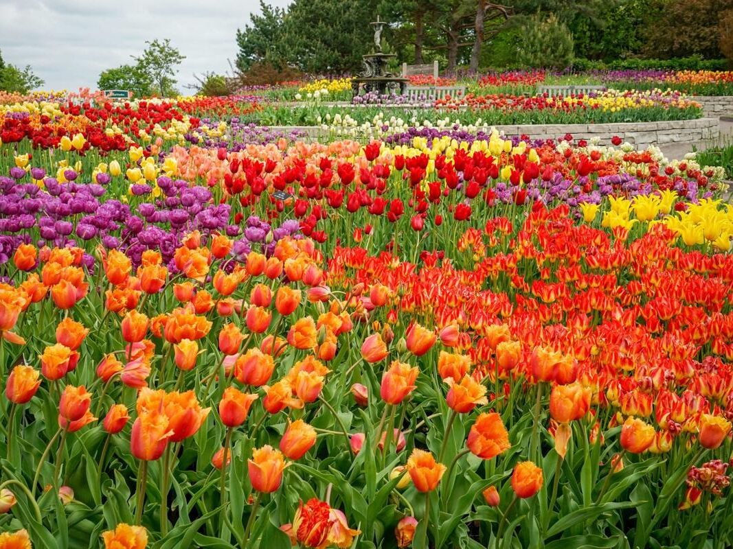 Picture of Minnesota Landscape Arboretum - Horticultural Research Center