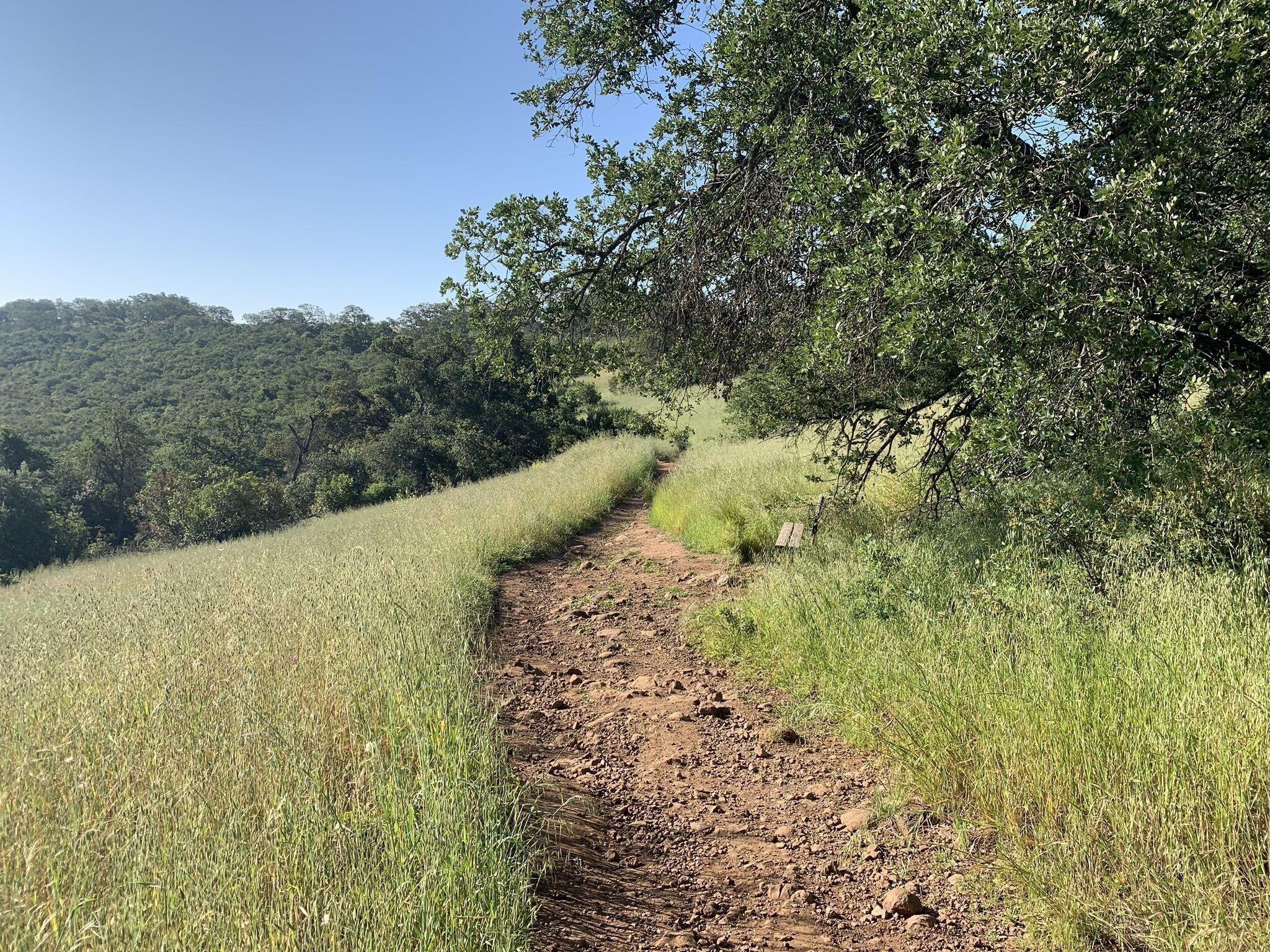 Picture of Santa Rosa Plateau Ecological Preserve