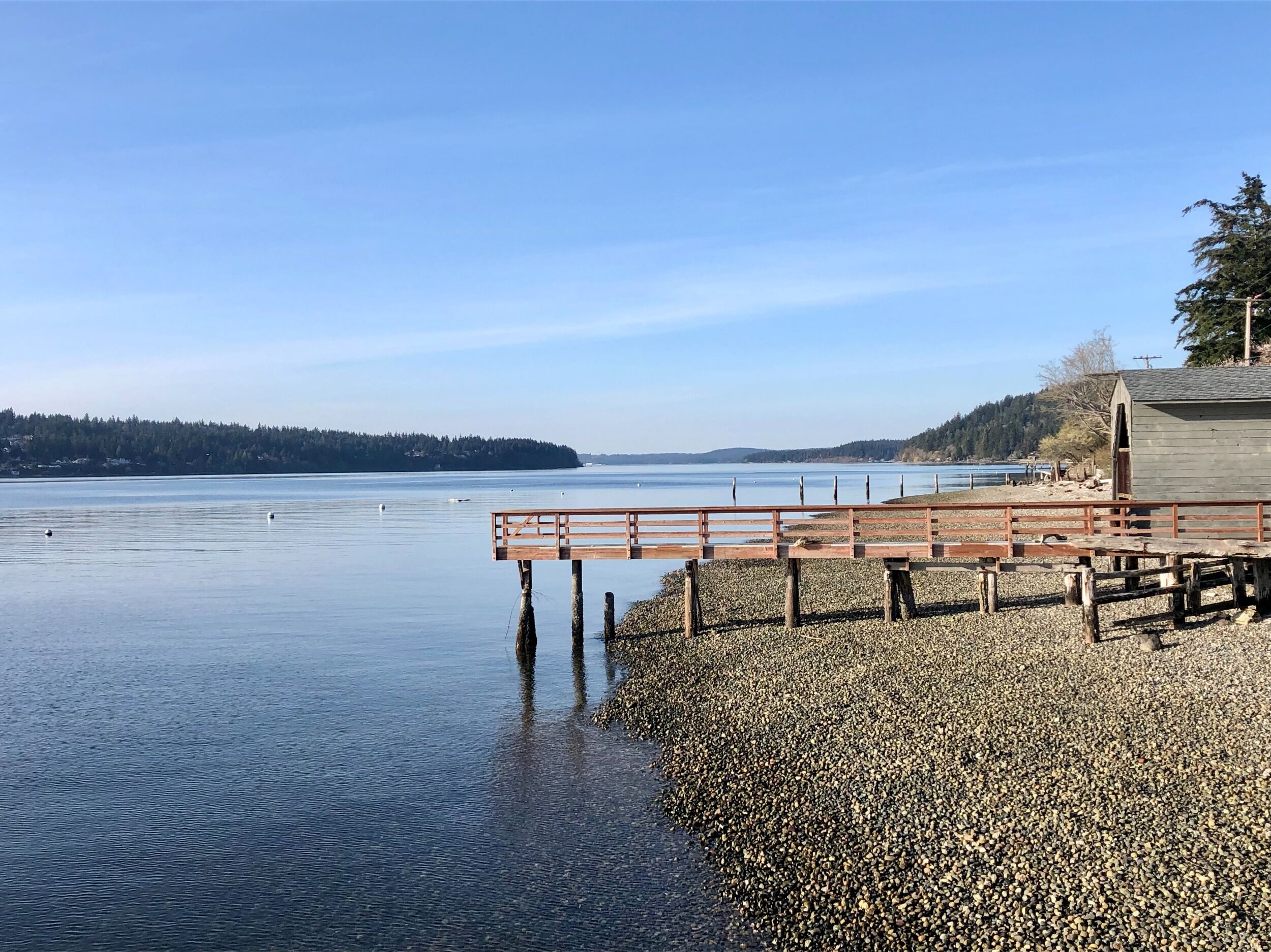 Picture of Ride the ferry to Bainbridge Island 
