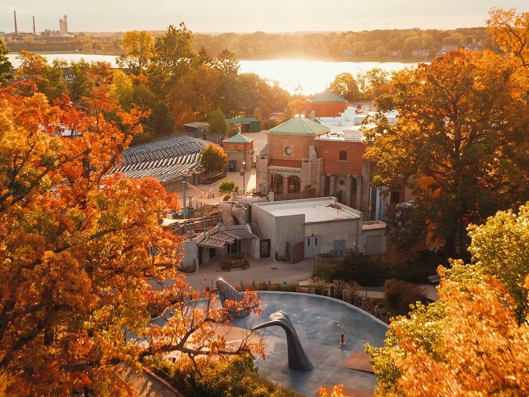 Picture of Toledo Zoo