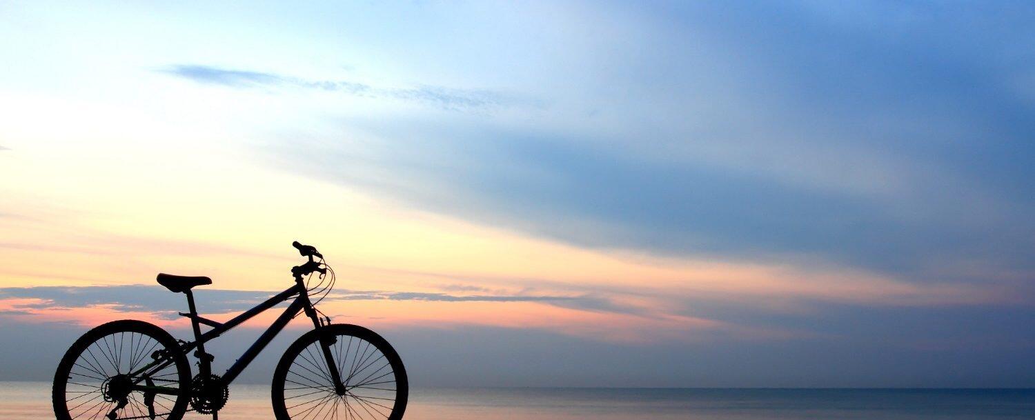 Picture of SI Bikes