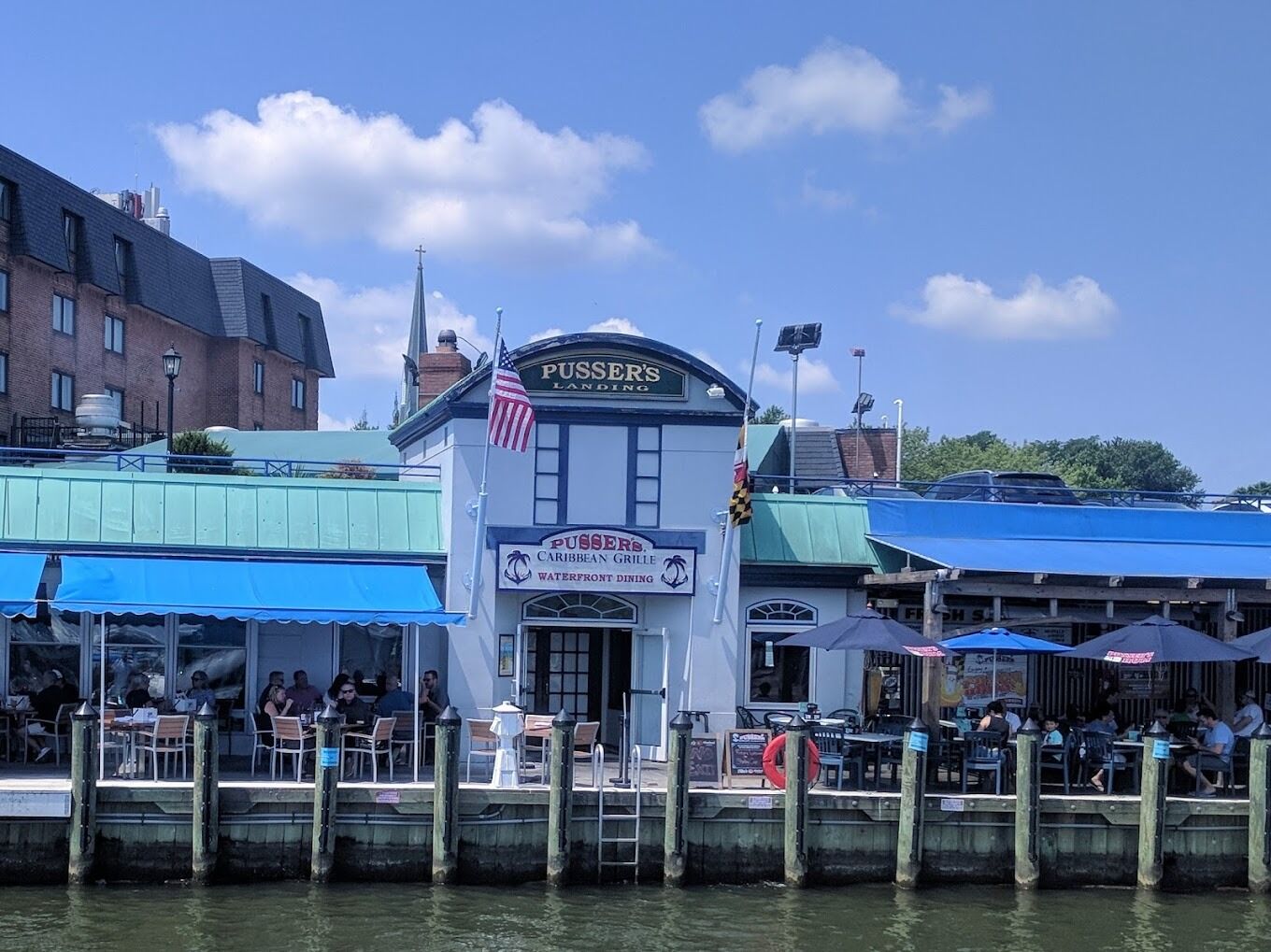 Picture of Pusser's Caribbean Grille - Annapolis Restaurants