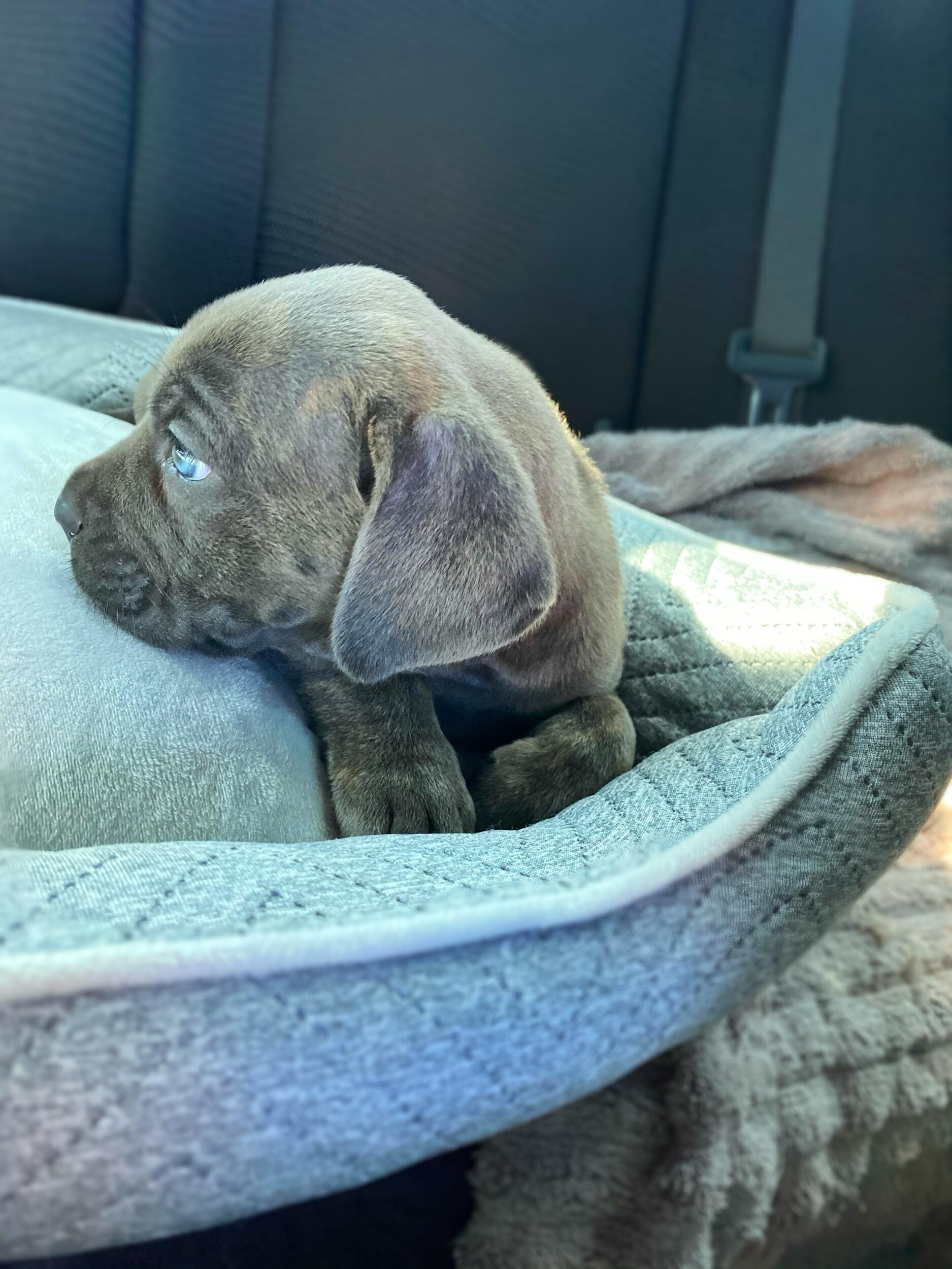 Dakota Grace melted our hearts and bonded us in a way that strengthened our relationship. She'll forever be our first baby. 
