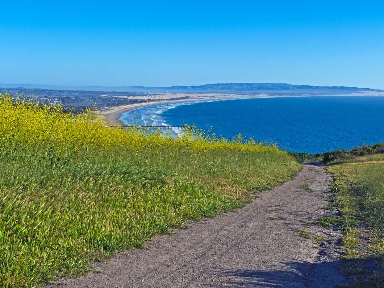 Picture of Pismo Preserve