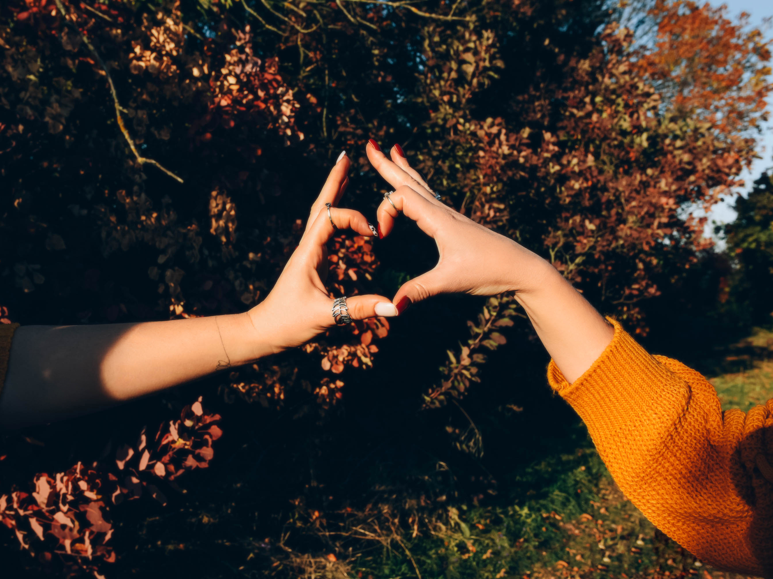 Couple making heart with hands during fall