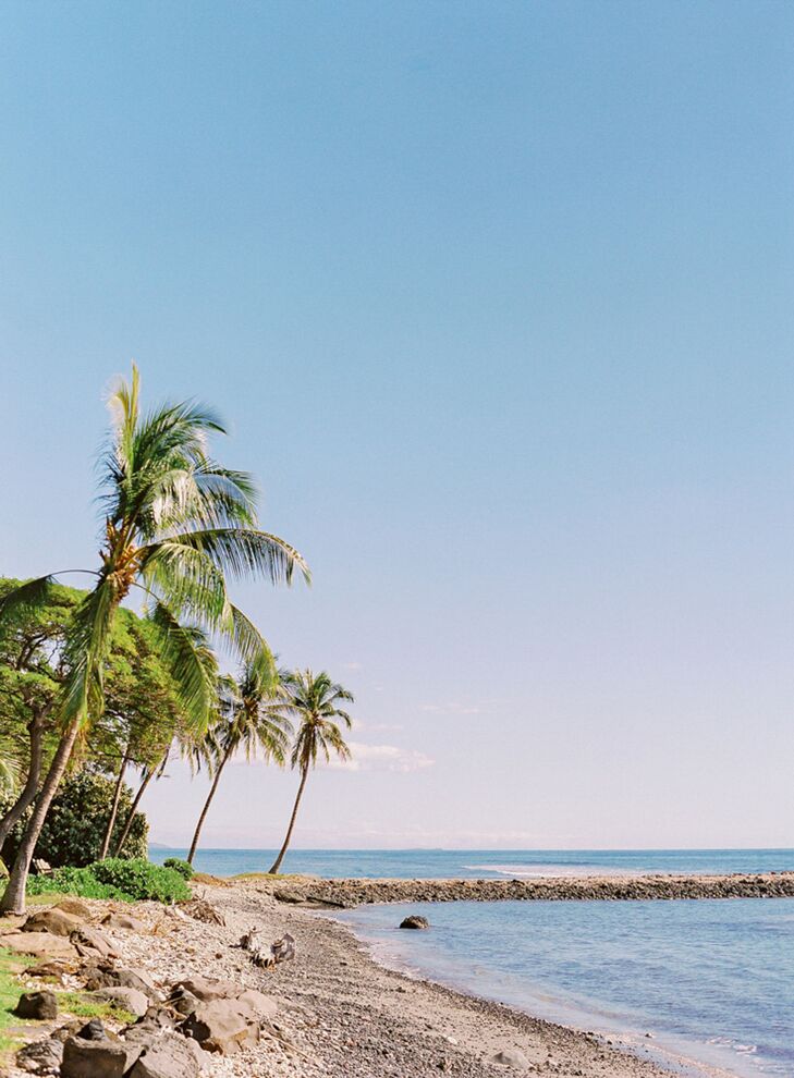 Maui, Hawaii, Beach With Palm Trees and Views of the Pacific Ocean