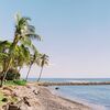 This Outdoor Wedding at Olowalu on Maui Had The Perfect Mix of Tropical and Modern Vibes