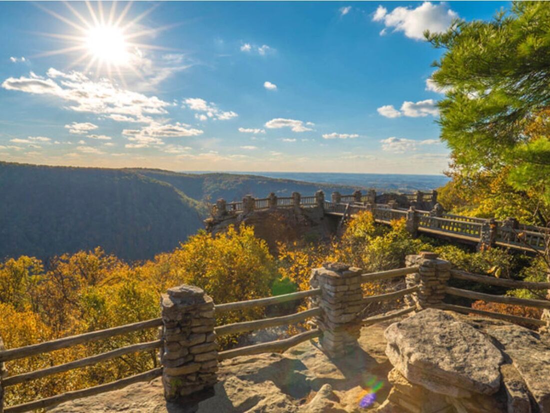 Picture of Coopers Rock State Forest