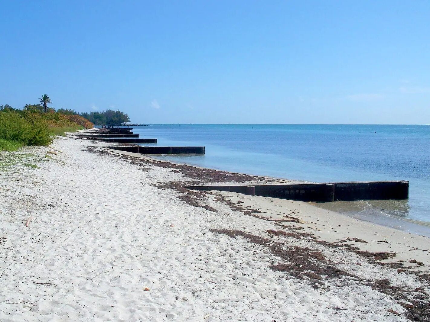 Picture of Virginia Key Beach North Point Park