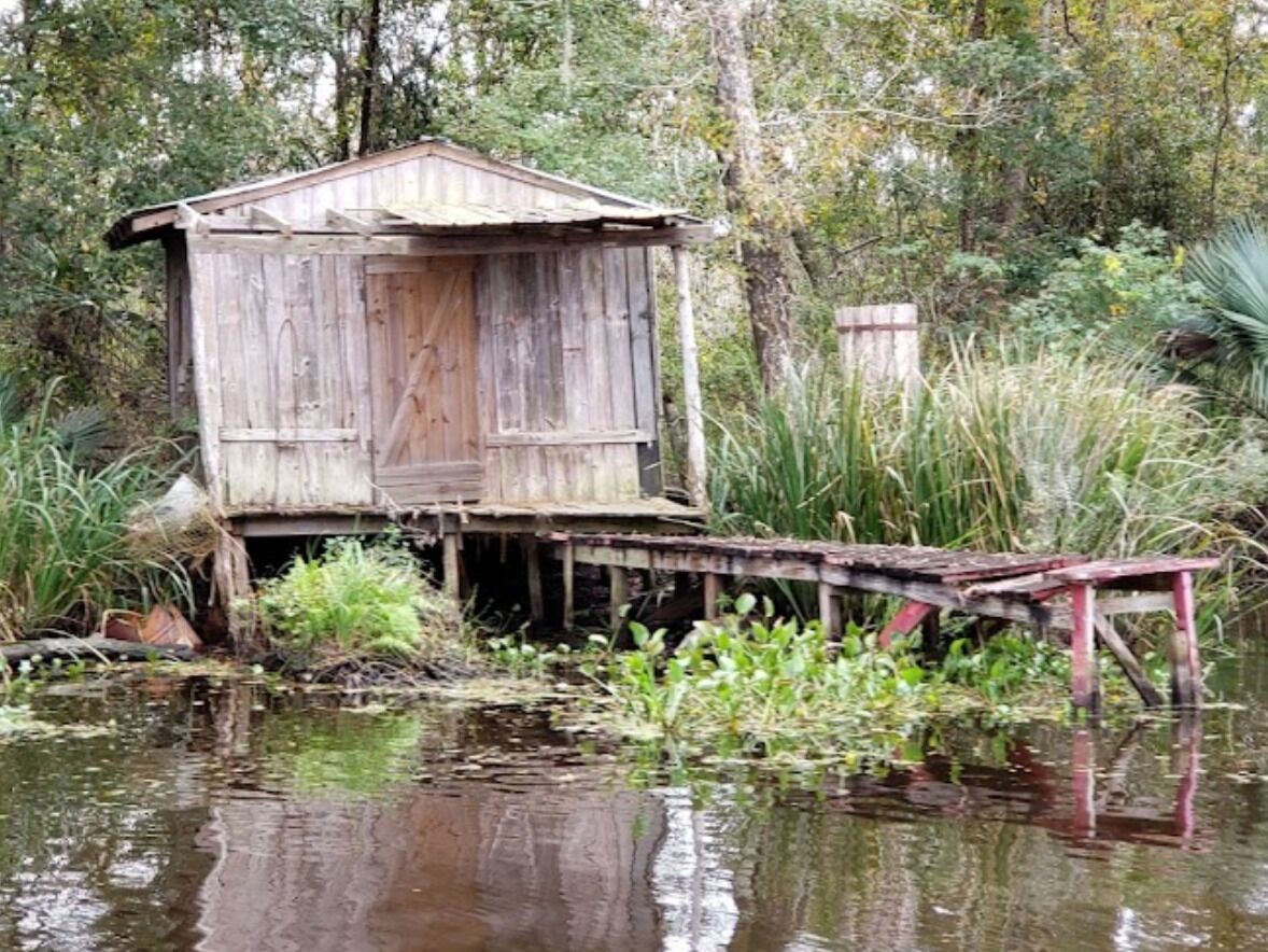 Picture of Jean Lafitte Swamp Tour