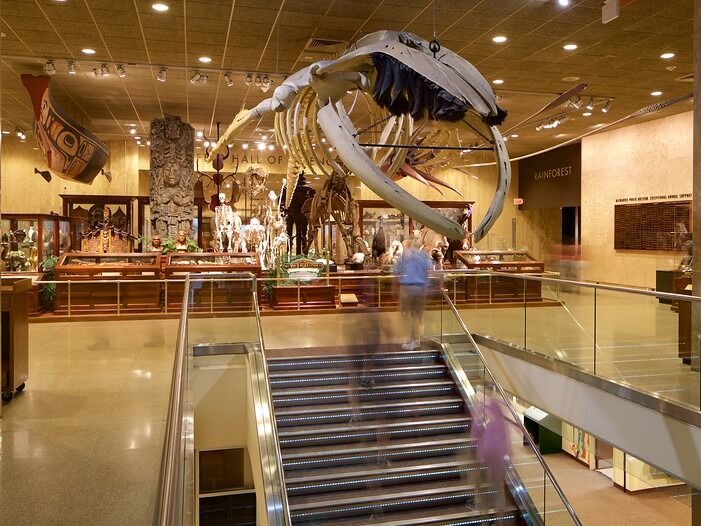 Picture of Milwaukee Public Museum