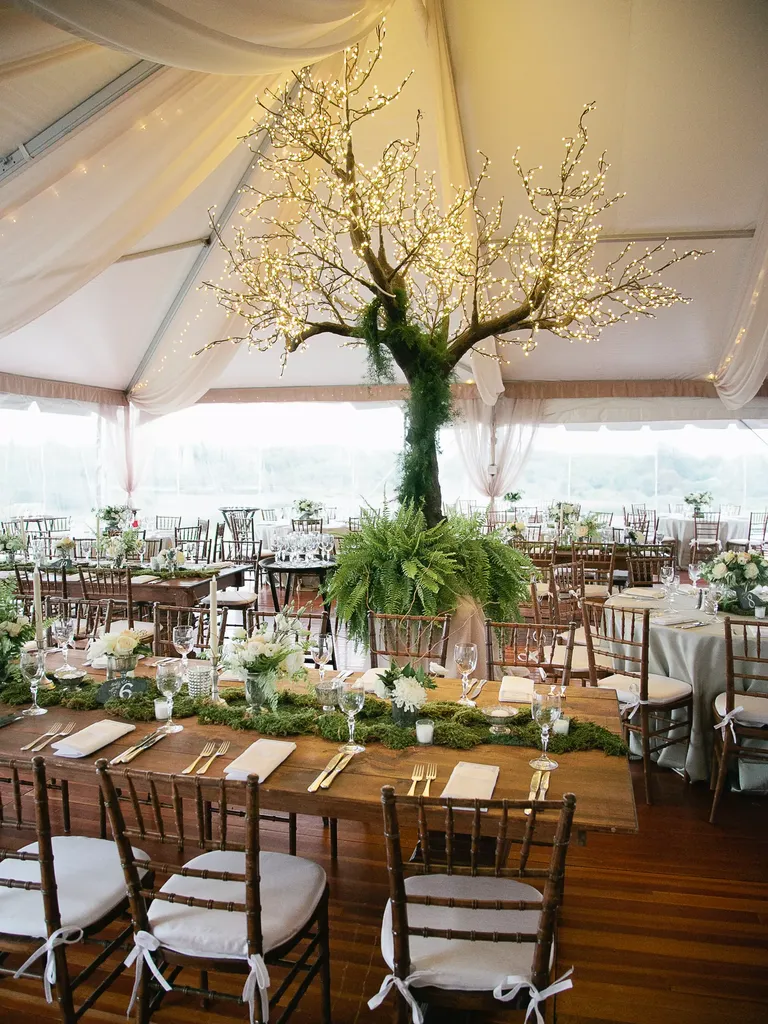 Lit Tree Centerpiece wedding lighting idea