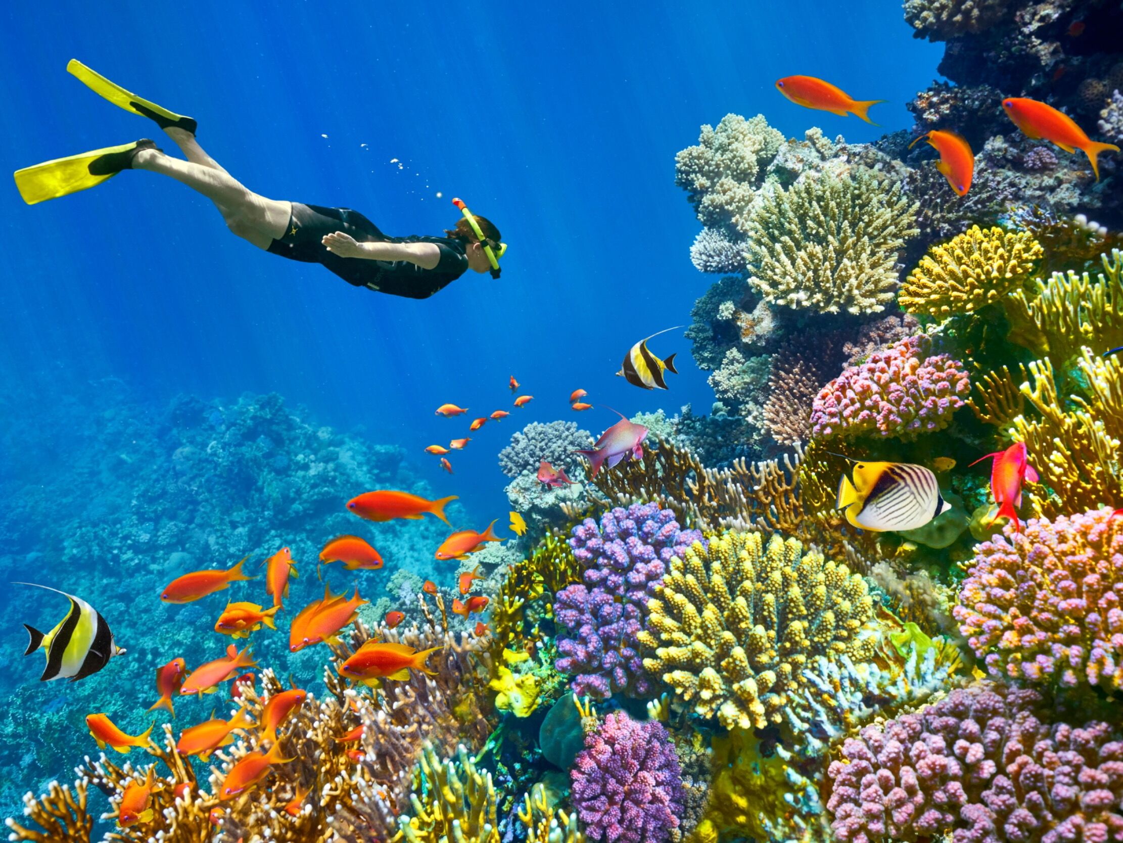 Picture of Hurghada