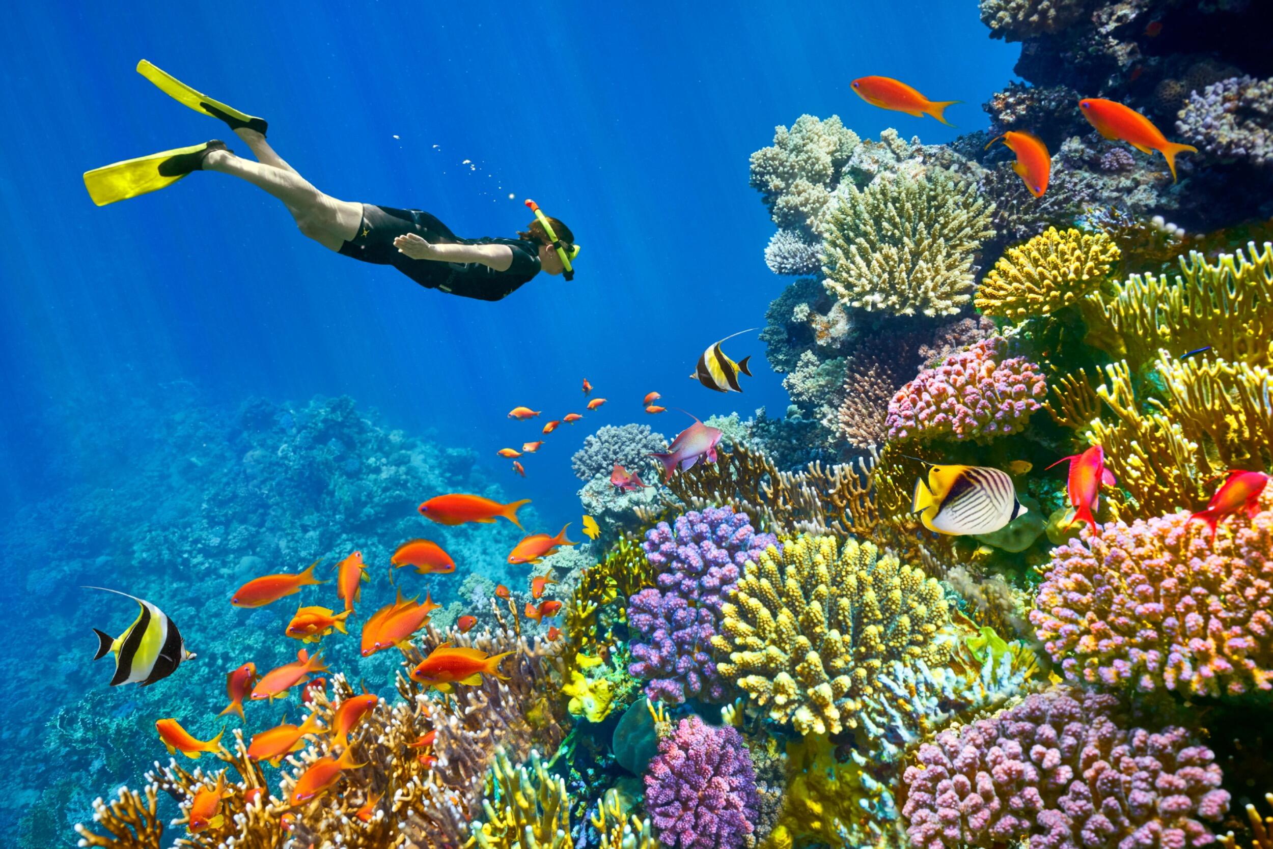 Picture of Hurghada 