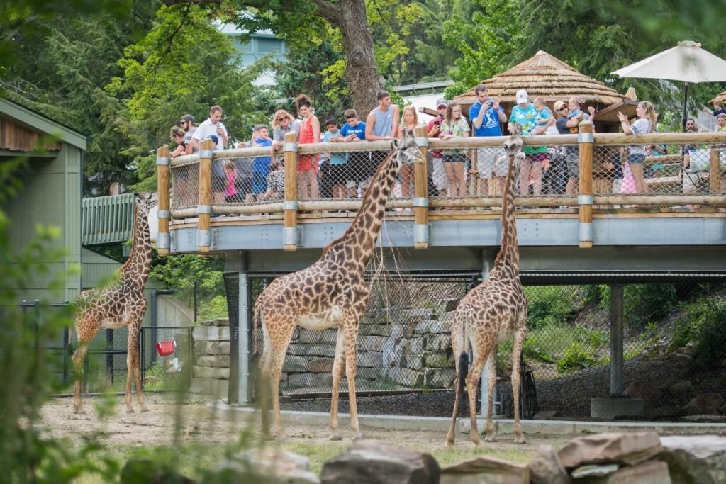 Picture of Cleveland Metroparks Zoo