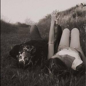 Gallery Photo 8
