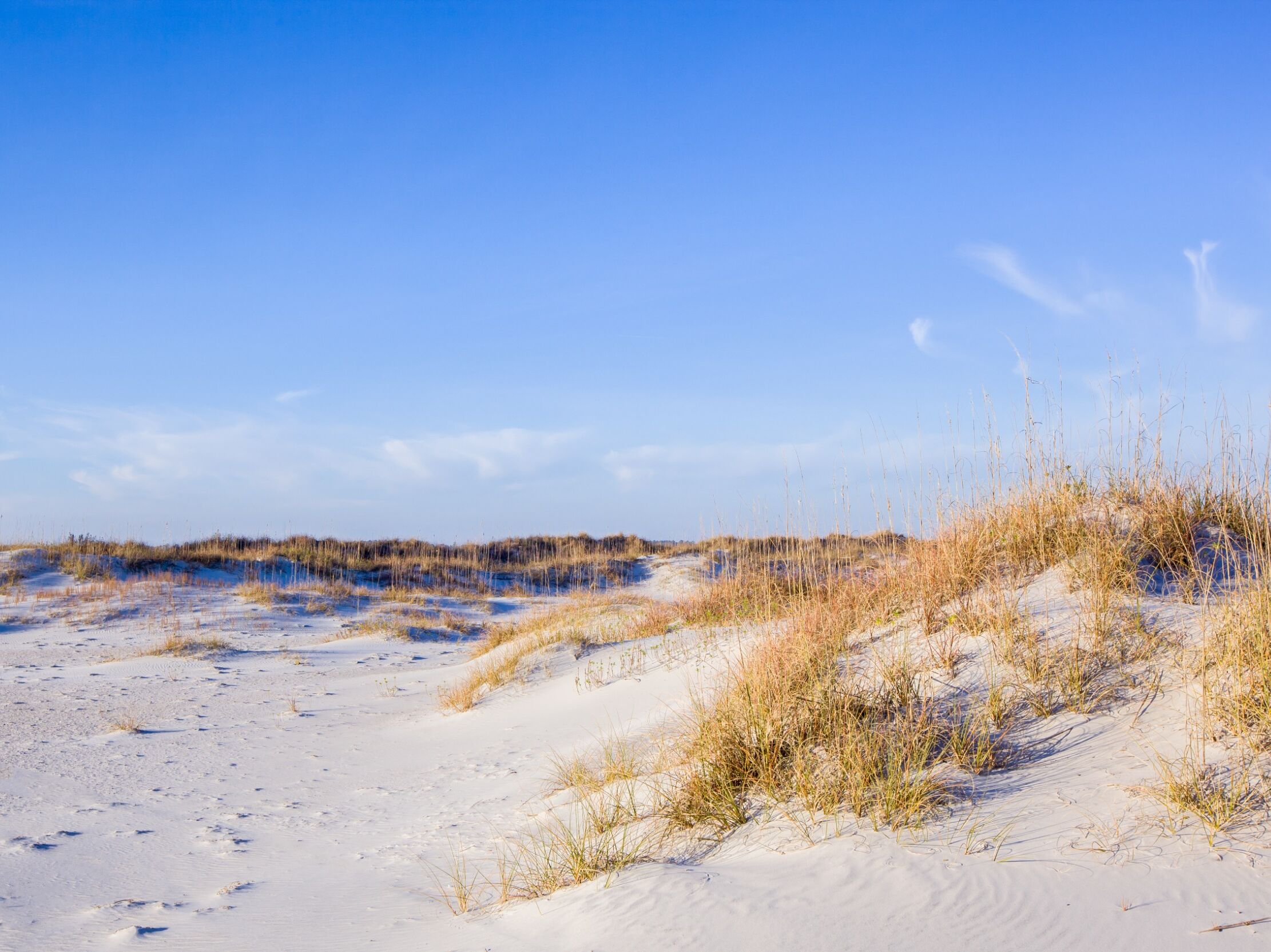 Picture of Carolina, Kure, and Wrightsville Beaches