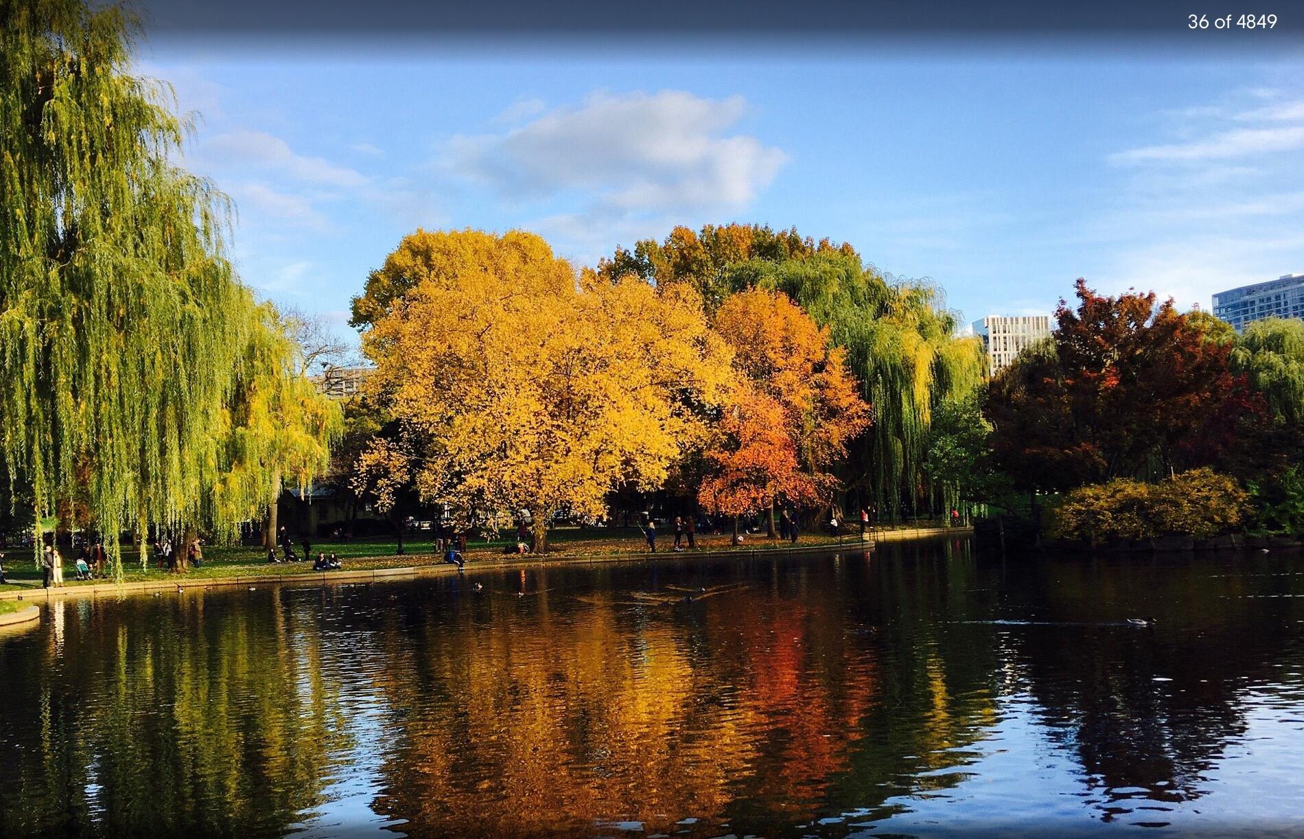Picture of Public Garden