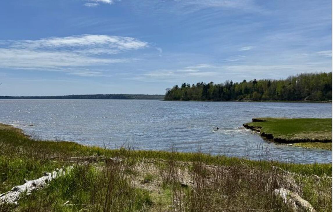 Picture of Sandy Point Beach Park