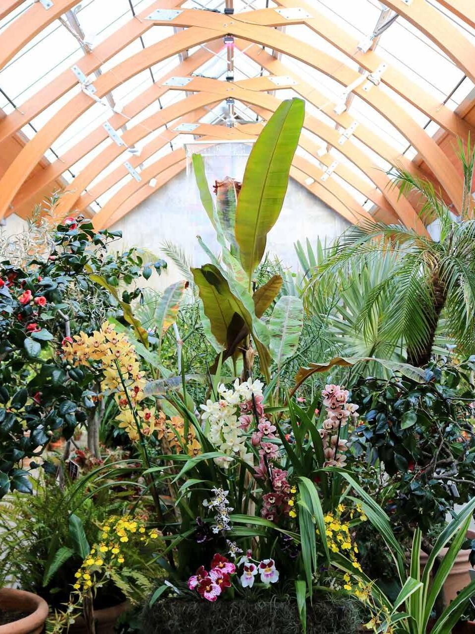 Picture of New England Botanic Garden at Tower Hill