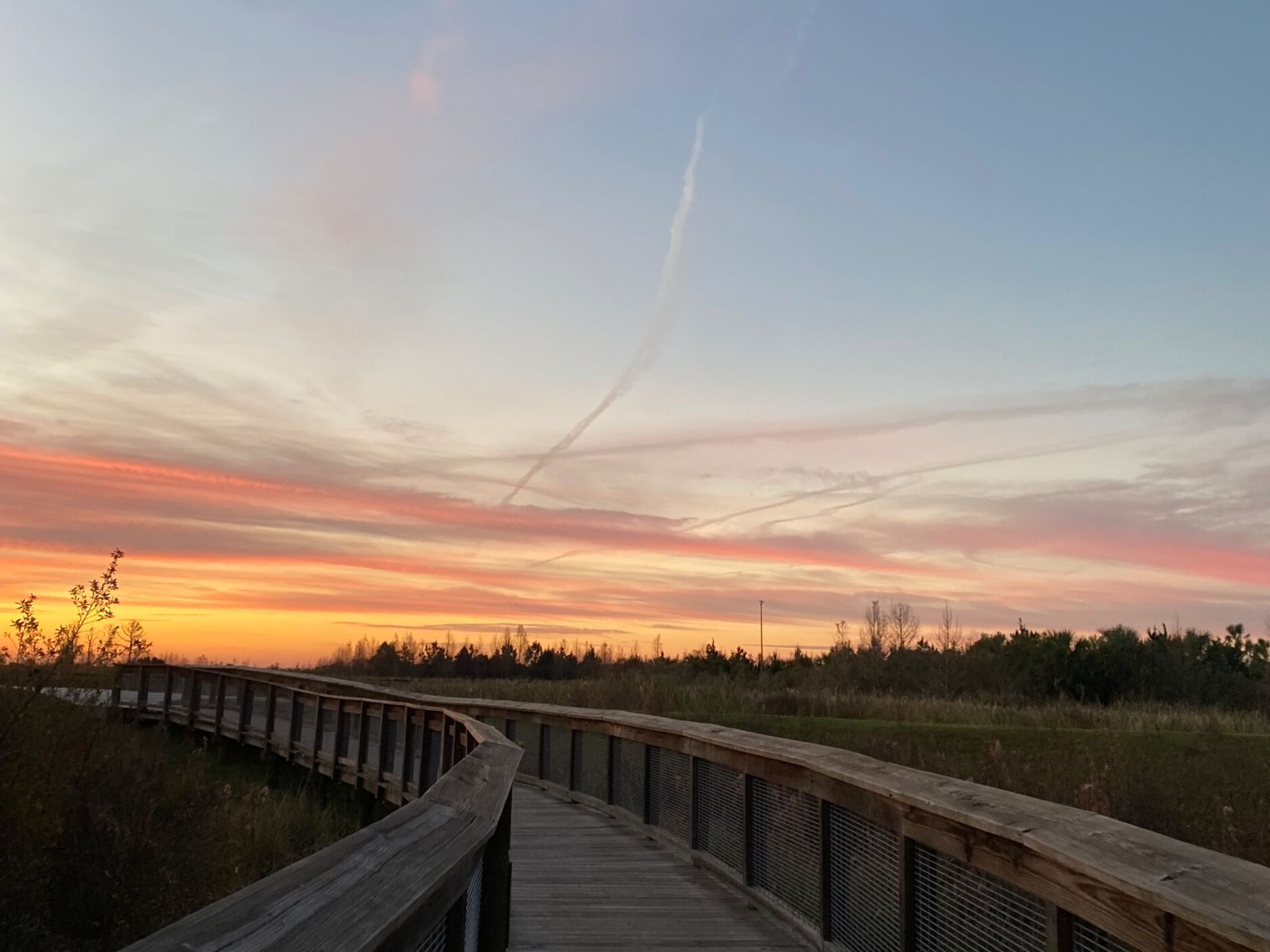 Picture of Sweetwater Wetlands Park