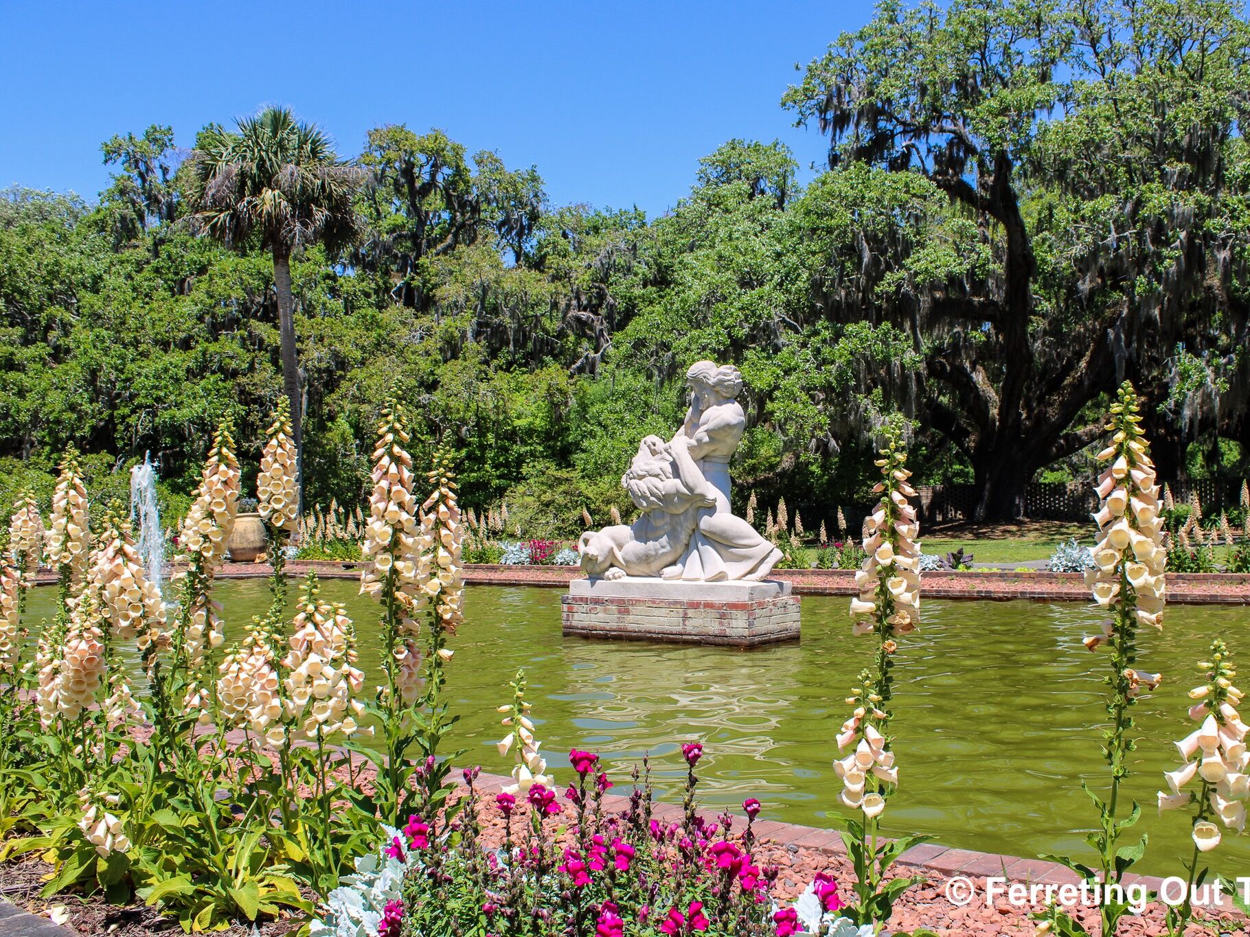 Picture of Brookgreen Gardens