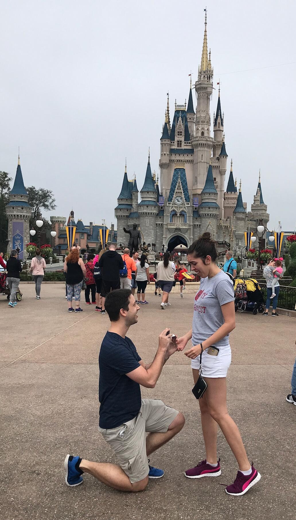 Picture of The Proposal